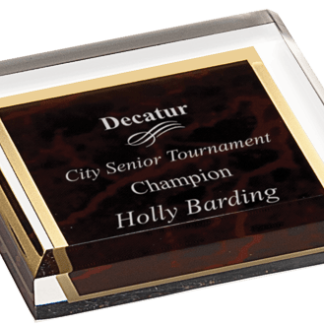 RED MARBLE ACRYLIC PAPERWEIGHT