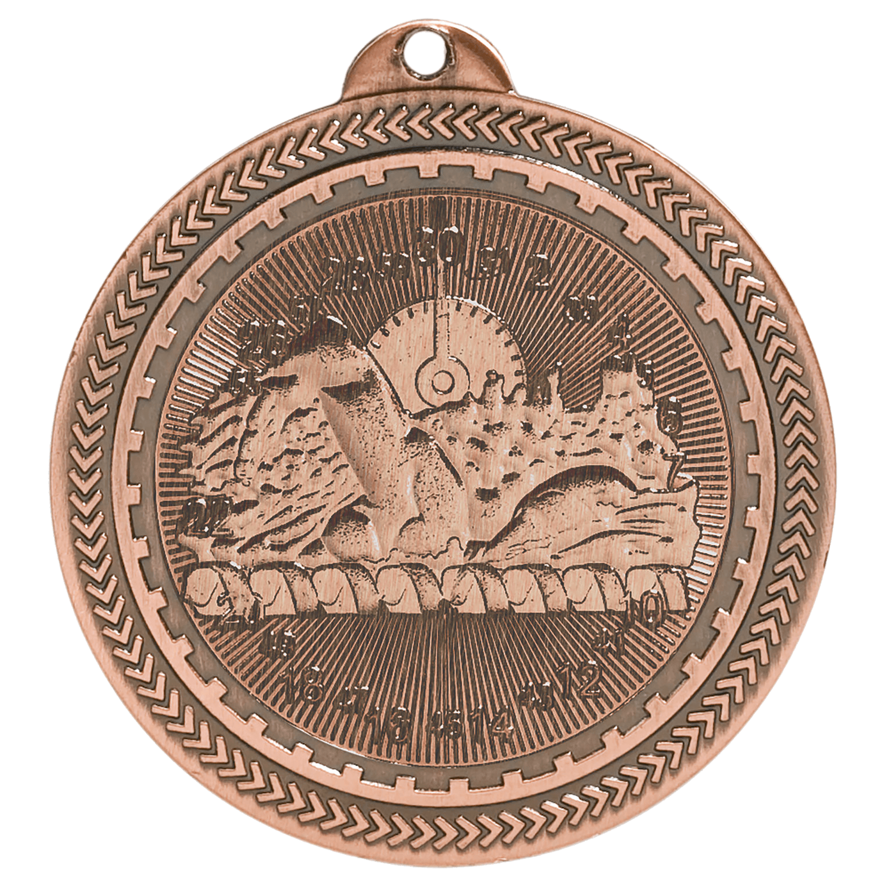 Swimming BriteLazer Medal-Bronze