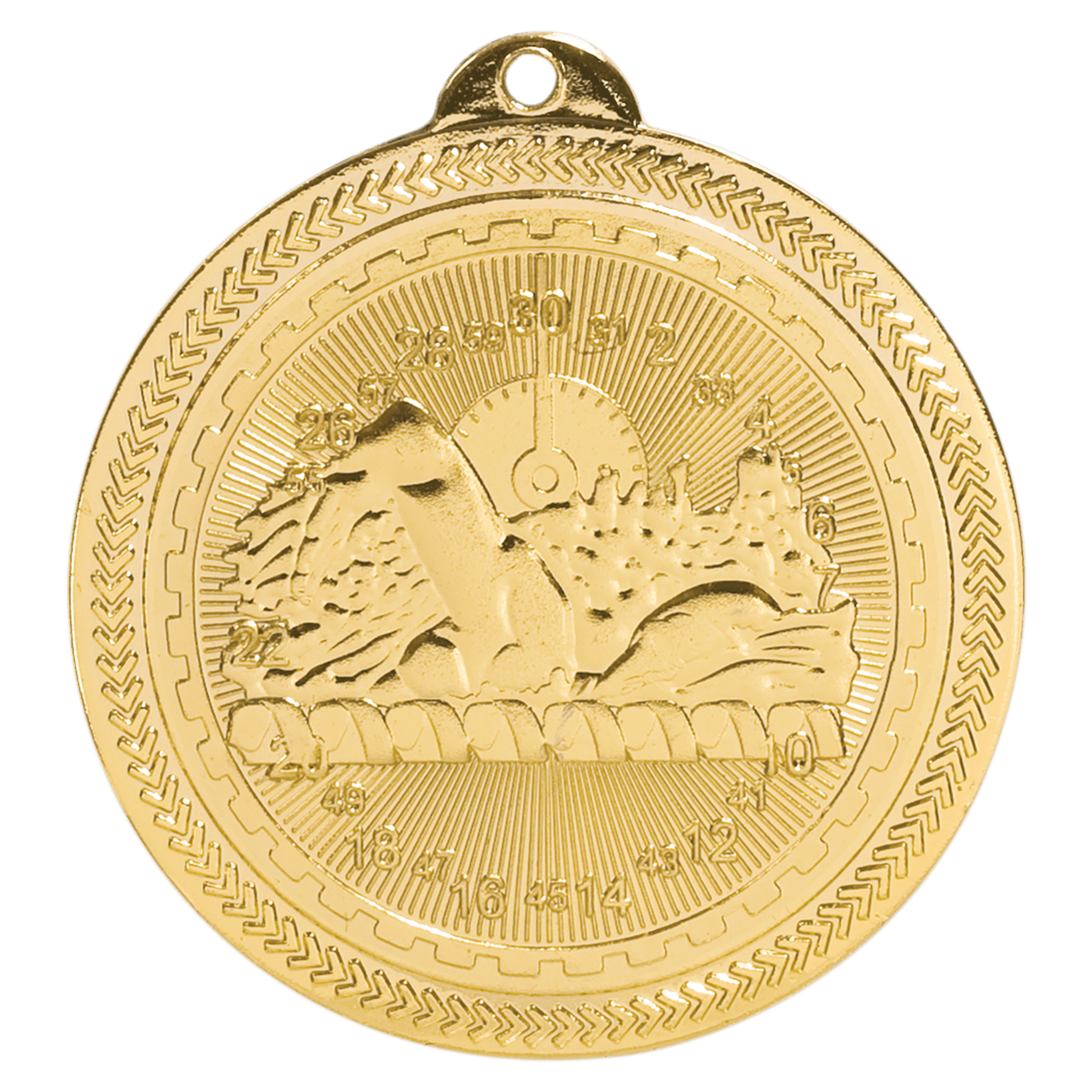 Swimming BriteLazer Medal-Gold