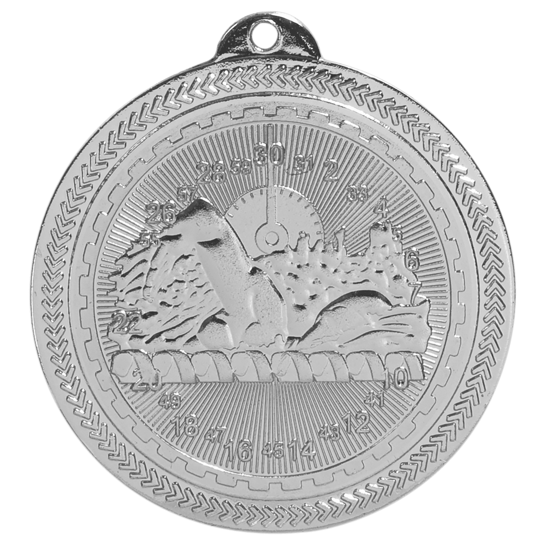 Swimming BriteLazer Medal-Silver