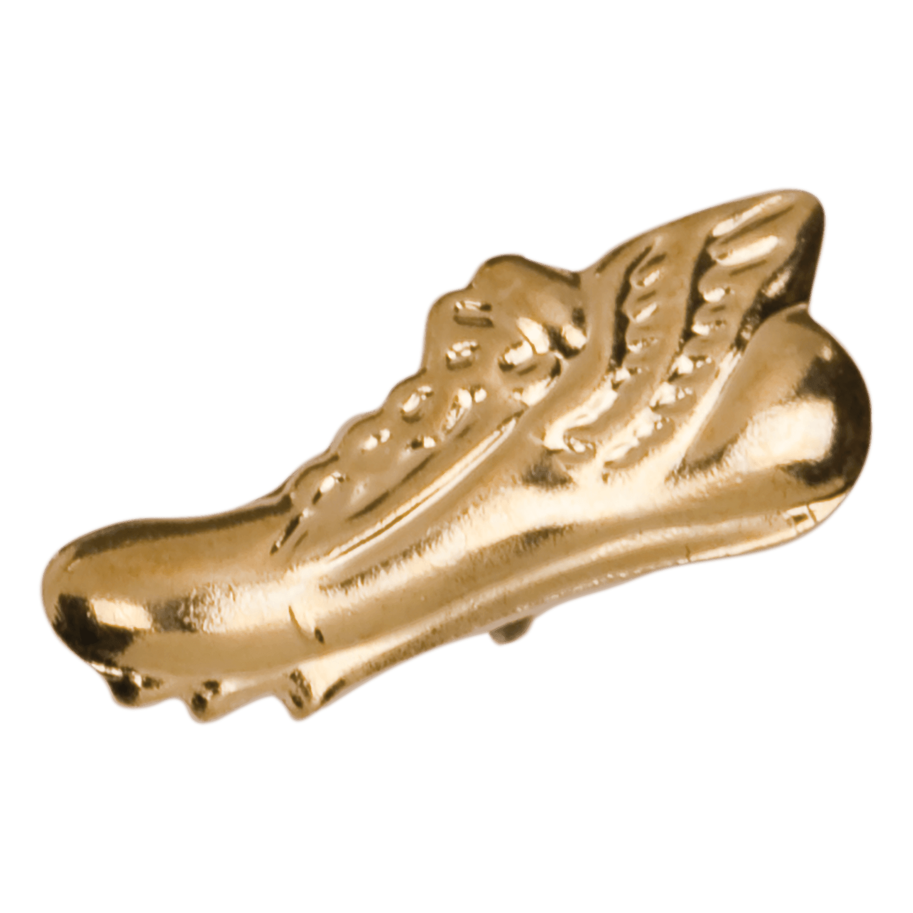 Winged Track Shoe Chenille Pin