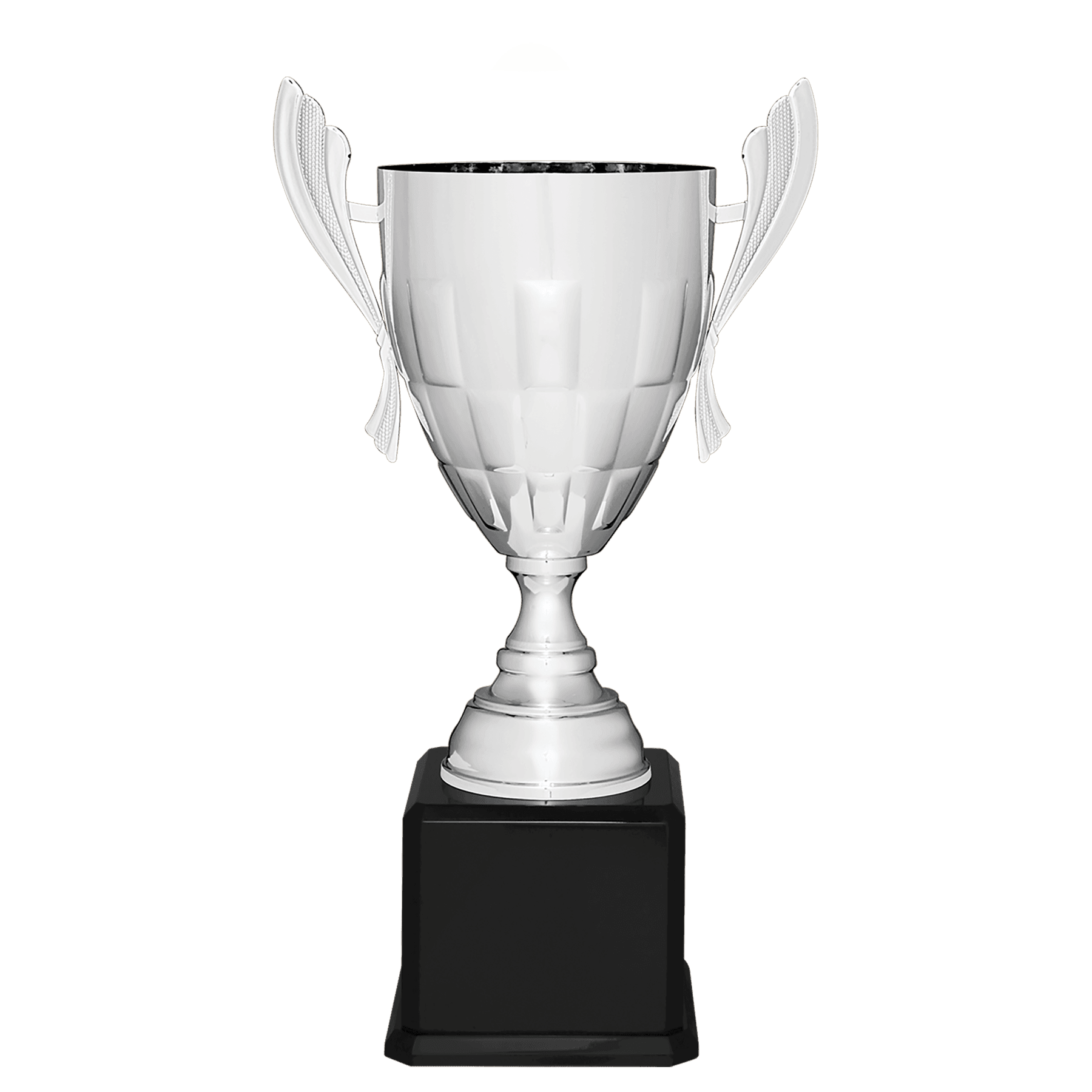 Silver Metal Cup-24 3/4"