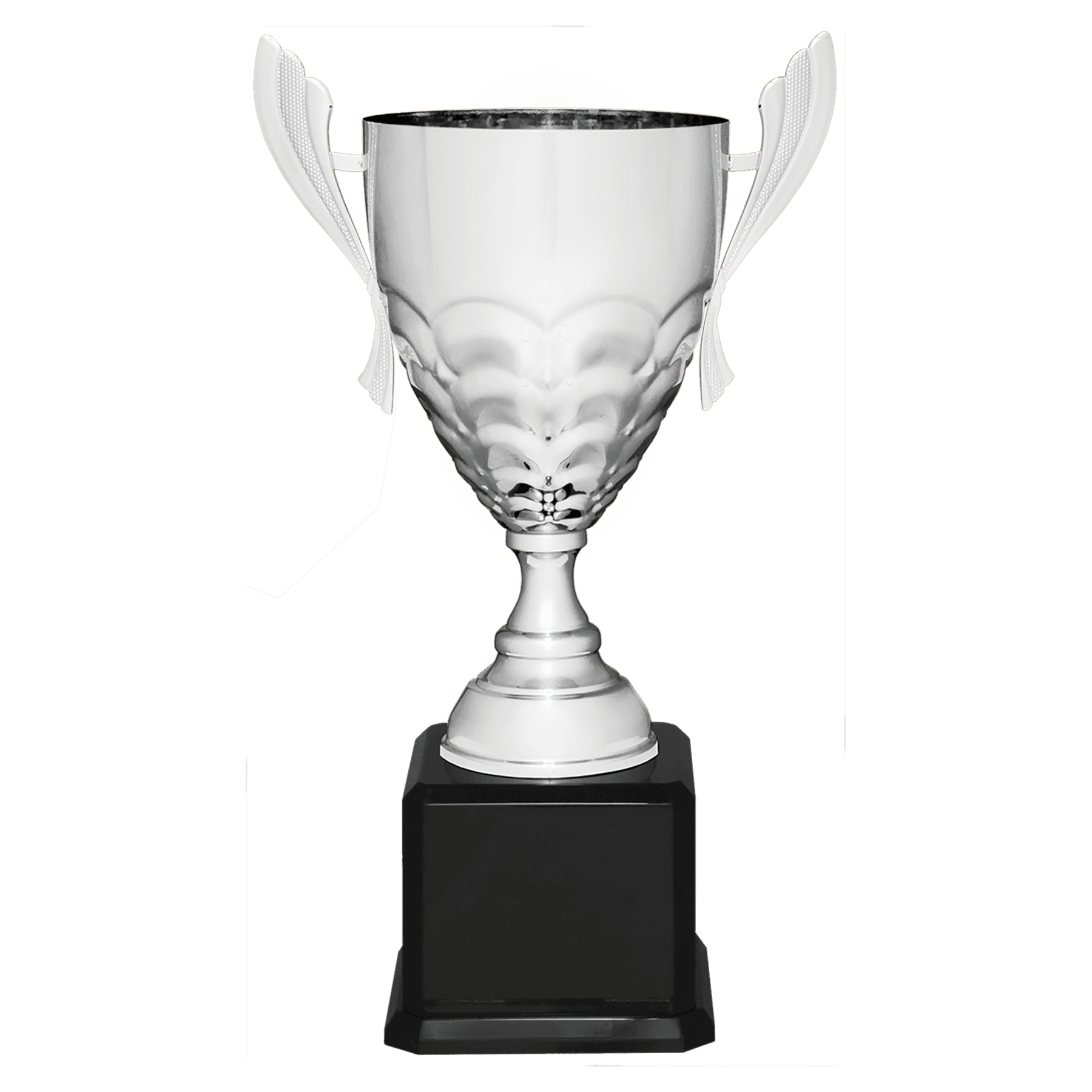 Silver Metal Cup-21"