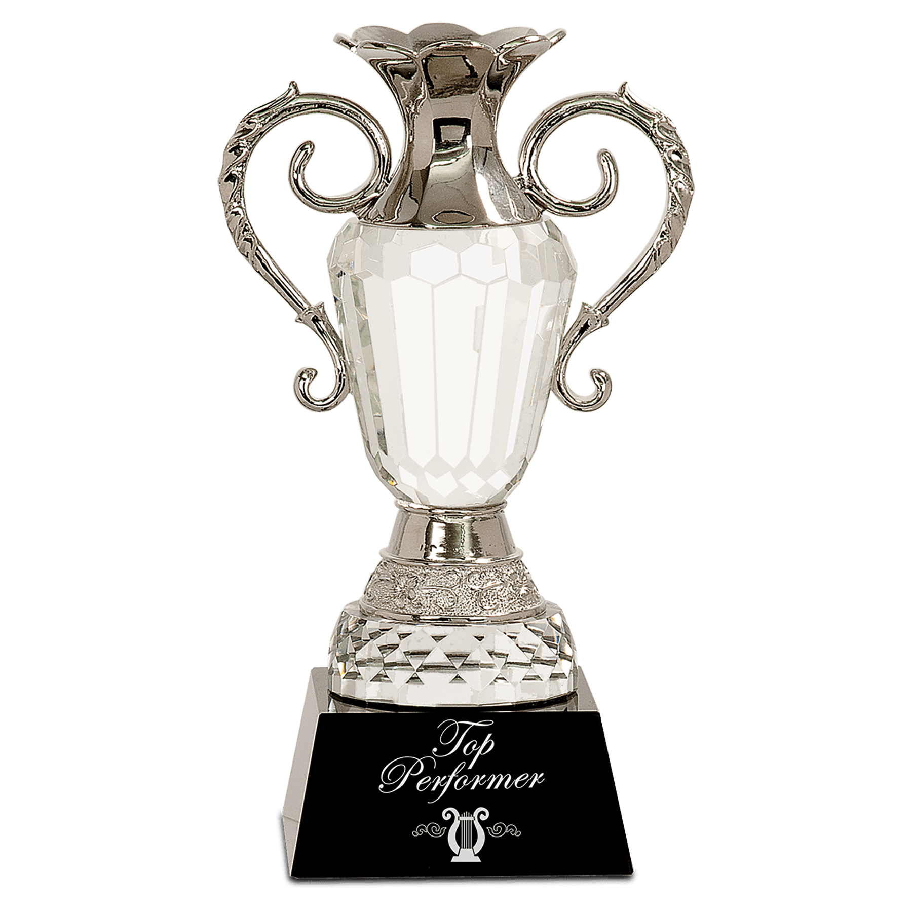 Crystal Cup with Silver Metal Handles