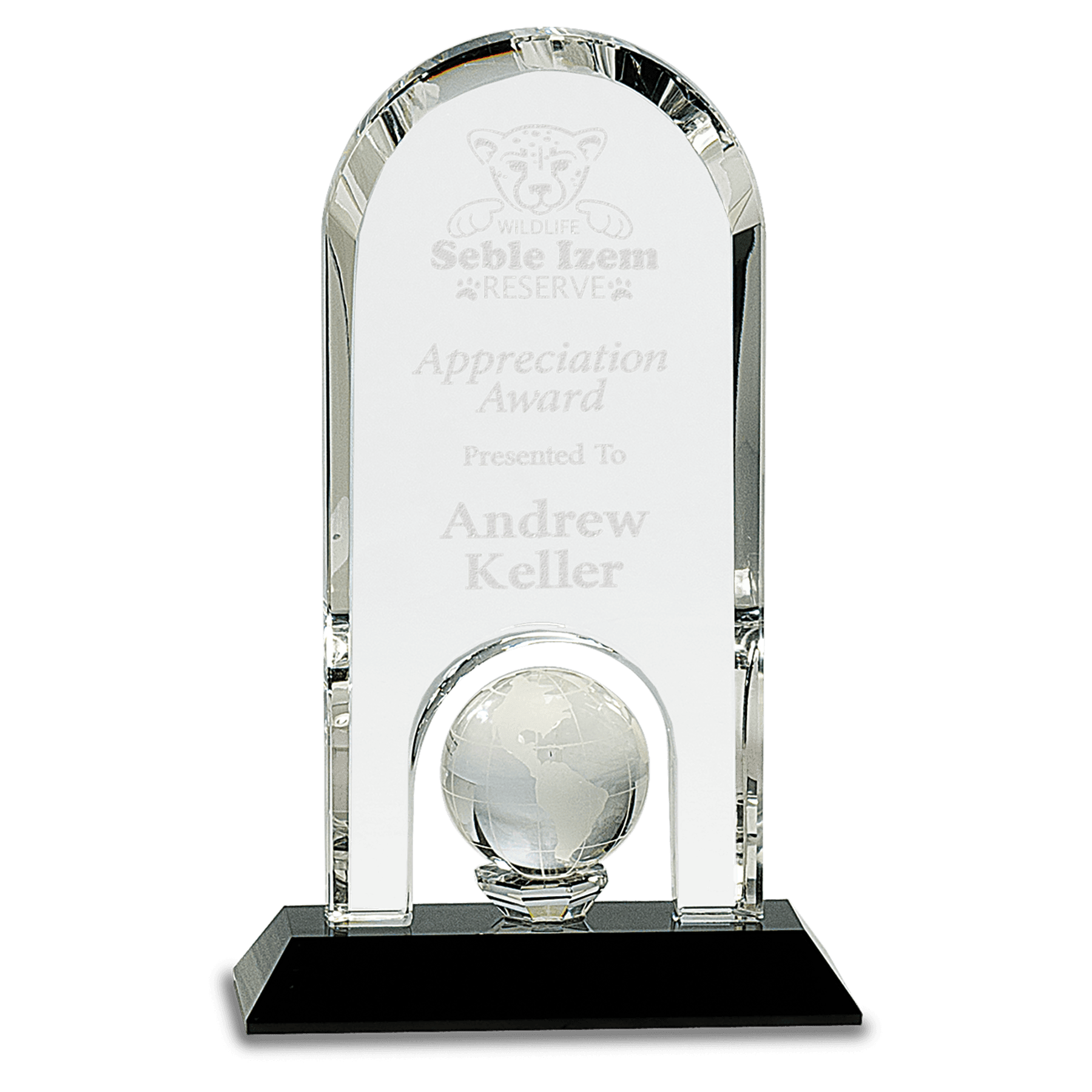 Clear Crystal Dome with Inset Globe on Black Base