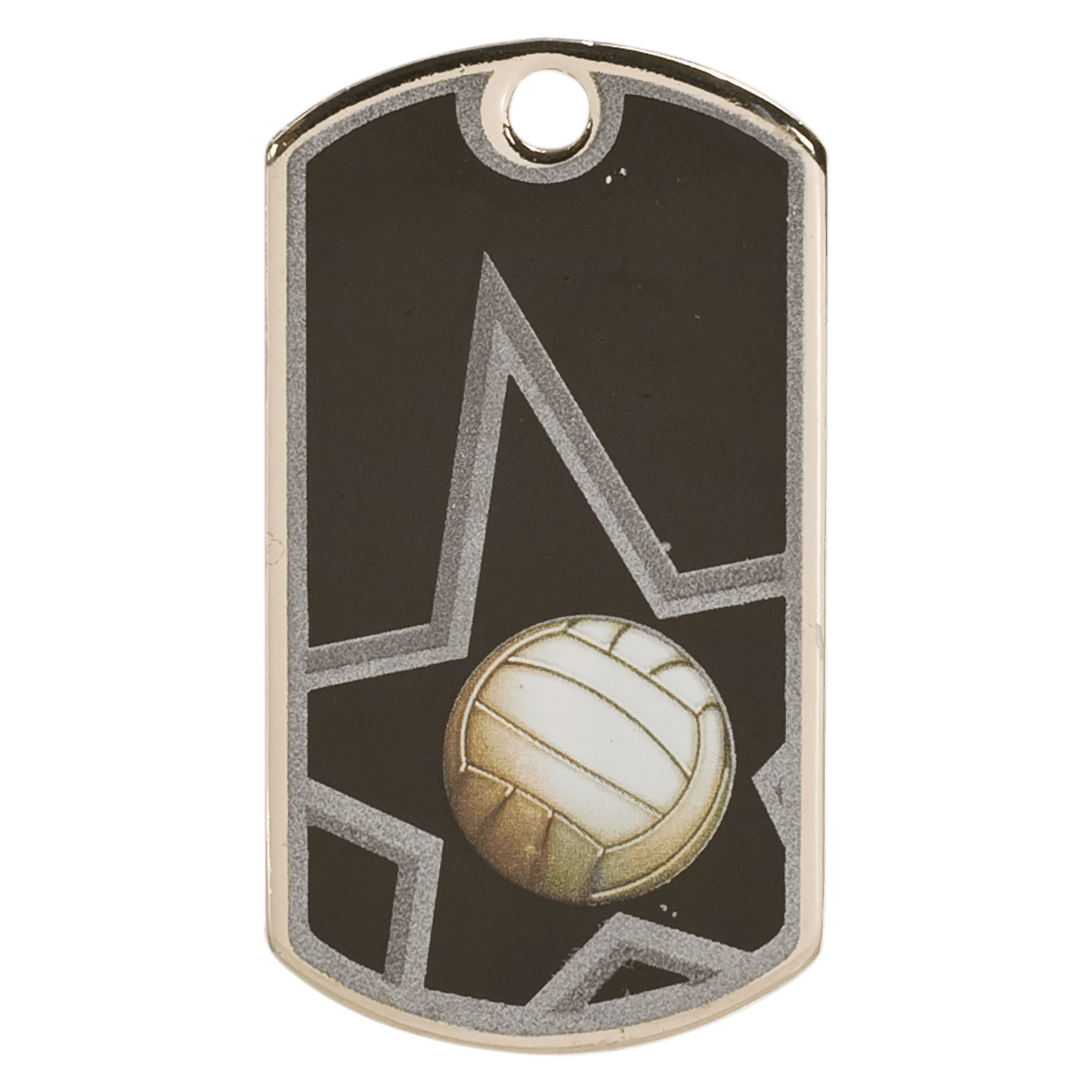 Volleyball Dog Tag